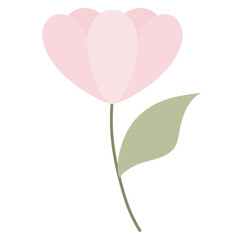 Pink flower on White 