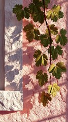 Vibrant green vine on textured pink wall with sunlit shadows