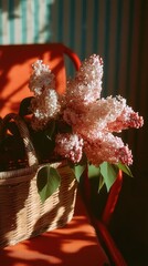 Vibrant pink lilacs in wicker basket on red chair, sunlit room