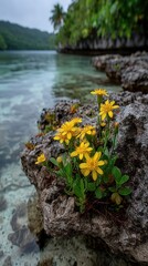 Vibrant yellow flowers bloom on rocky shore by clear tropical water