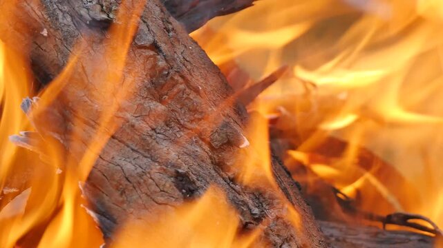 Tree log burning with fire