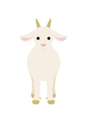 正面から見た白いヤギの姿