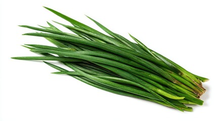 Bundle of Vibrant Green Chives Freshly Harvested on Bright White Backdrop in Natural Light Studio Setting Revealing Textural Details and Culinary Herb Theme