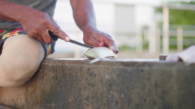 Life in a remote Indigenous island community. A seated Indigenous man fillets fish from a fresh catch.