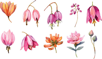 collection of flowers © Abu