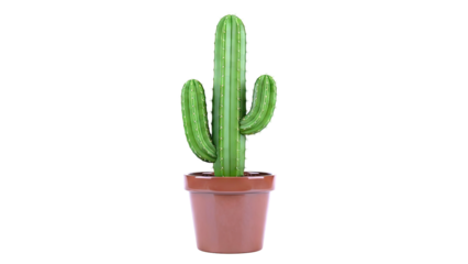 Green Cactus in a Brown Pot