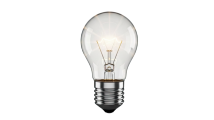 Incandescent Light Bulb