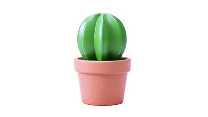 Potted Cactus on White Background