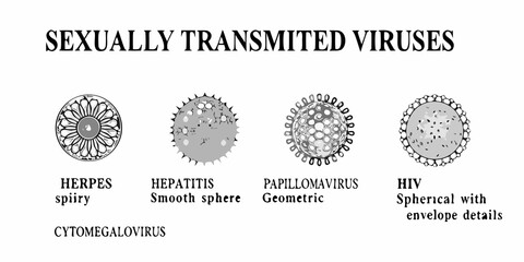 Illustrative depiction of sexually transmitted viruses herpes hepatitis papillomavirus hiv cytomegalovirus