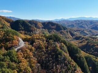 A mountain range with a winding road that is surrounded by trees. The road is covered in leaves and the trees are in various stages of autumn