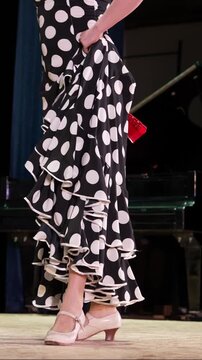 Flamenco Seville. Professional flamenco steps