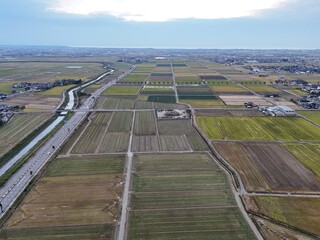 A large field of crops is shown from above. The sky is cloudy and the sun is not visible. Concept of vastness and emptiness, with the crops stretching out as far as the eye can see