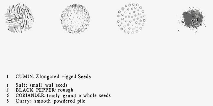 Illustrations of cumin salt black pepper coriander and curry seeds displayed
