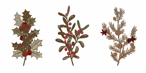 A botanical illustration depicting various winter foliage and berry sprigs © Partha