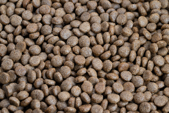 Closeup highprotein pet kibble emphasizing dense pellets and hearty texture, implies performance nutrition for active dogs, sporty branding potential, crisp focus