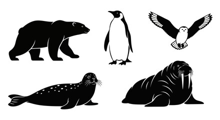 Illustrations of arctic animals including a polar bear penguin owl seal and walrus © Alis