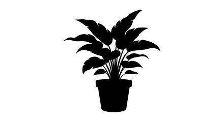 Fototapeta premium Silhouette of a houseplant in a pot against a white background creates a serene and modern