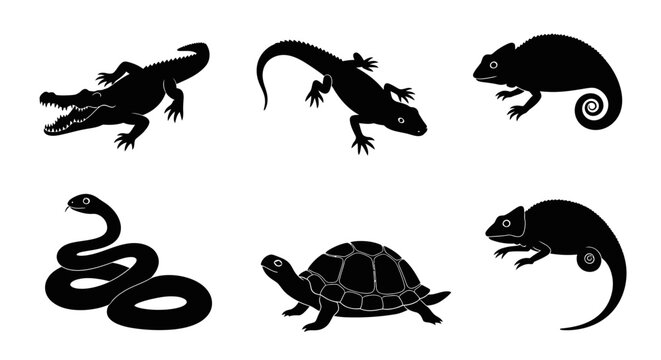 Vector illustration of black silhouettes of various reptiles on a white background