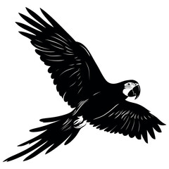 Flying Parrot Bird Silhouette Vector, Tropical Parrot in Flight with Spread Wings, Minimalist Black Avian Wildlife Illustration Isolated on White Background © Kinari