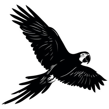 Flying Parrot Bird Silhouette Vector, Tropical Parrot in Flight with Spread Wings, Minimalist Black Avian Wildlife Illustration Isolated on White Background