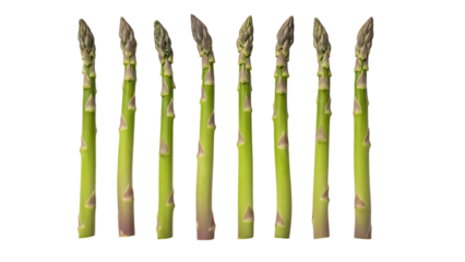Seven fresh green asparagus stalks on checkered background