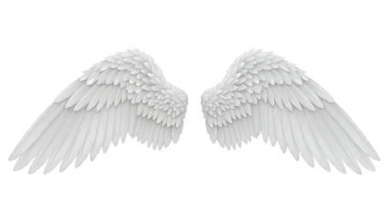 White angel wings on transparent background