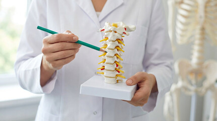 A doctor or chiropractor in a lab coat points with a pencil at a detailed human spinal column model, illustrating anatomy and health concepts