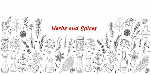 A botanical illustration featuring various herbs spices and cooking ingredients © Tarun