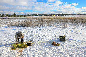 Fototapety na wymiar - Fototapeta24.pl