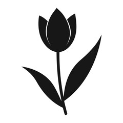 black tulip flower with two leaves on a white background.