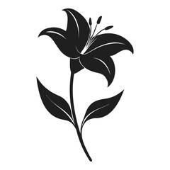 black lily silhouette illustration with detailed petals and leaves on a white background.