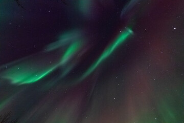 A spectacular display of the aurora borealis, the northern lights. near the Town of Laugervatn, in Iceland