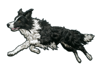 Border collie dog running with dynamic movement and energy