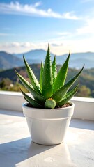 Aloe plant in white pot on a windowsill overlooking a distant mountain range on a sunny day