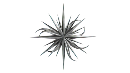 Black Starburst Graphic on White
