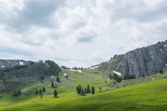 Sunlit grassy pass between stone hill with coniferous trees and high rock mountain wall under cloudy sky. Big sharp rocky ridge with sheer crags. Sunlight and shadows of clouds in changeable weather.