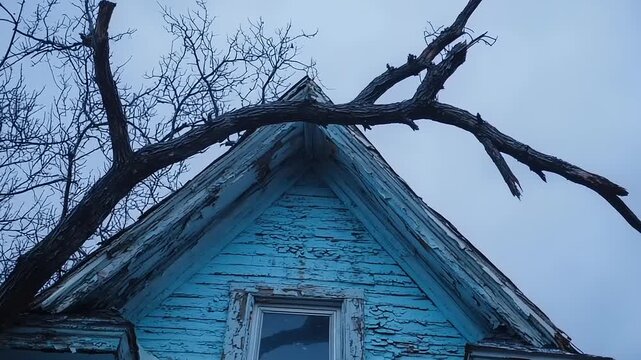 Dead tree branch resting precariously on gable of dilapidated wooden house