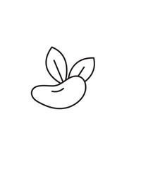 soyabean icon, vector best line icon.