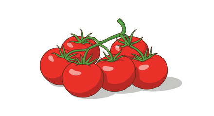 Vector illustration of fresh red tomatoes on the vine