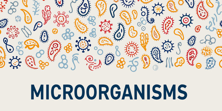 Colorful pattern of various microorganisms and bacterial shapes on a light background