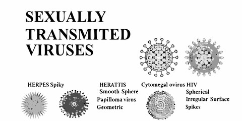 Illustrative depiction of sexually transmitted viruses and their microscopic structures