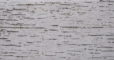 Wood background and texture for design.