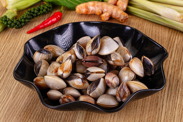 Raw fresh wild clams mollusc © Andrei Starostin