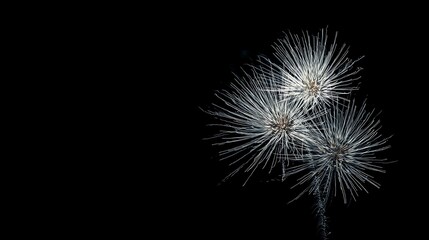 Fototapeta premium New Year fireworks background image, New Year celebration, Spring Festival fireworks, pure black background