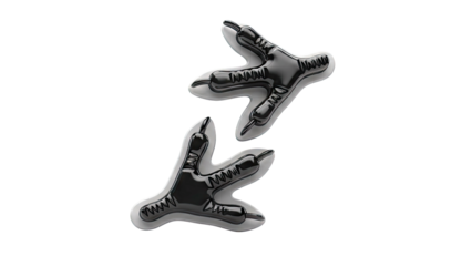 Black Shiny Bird Foot Claws