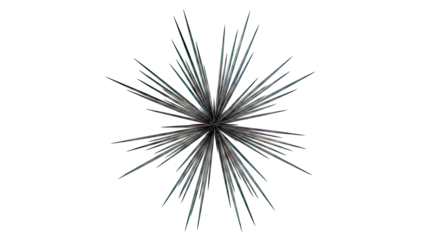 Black Starburst Explosion on White Background