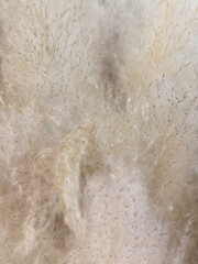 Variety plant decorate in landscaped garden,thailand