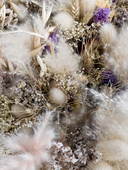 Variety plant decorate in landscaped garden,thailand