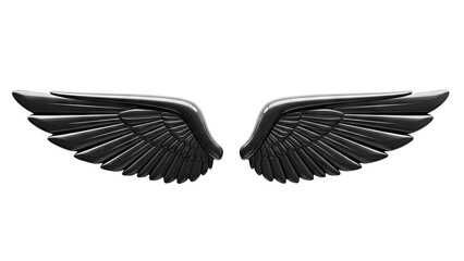 Glossy Black Angel Wings