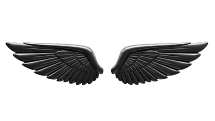 Glossy Black Angel Wings